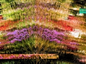 Composition III